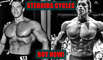 beginner steroid cycles for sale